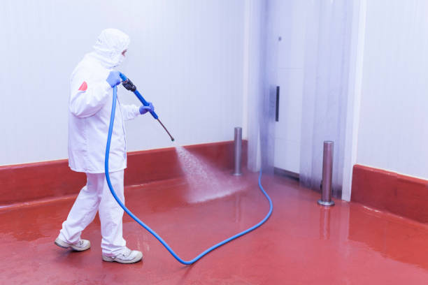 South Plainfield, NJ Pressure Washing Services Company